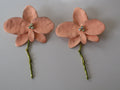 Brincos Orquídea Rosa Pêssego