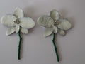 Brincos Orquídea Pérola Branca