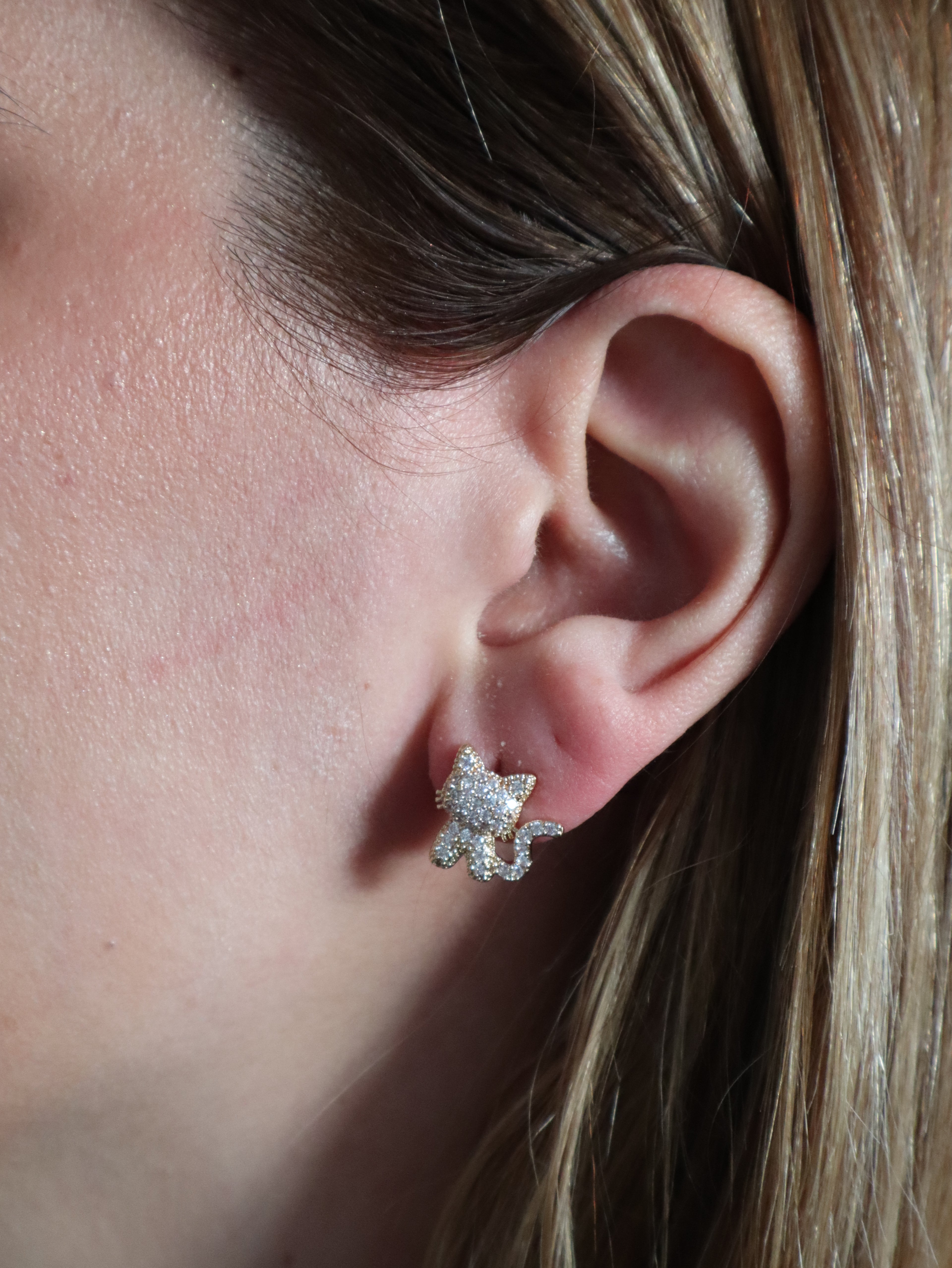 Brincos Gatinha Glam